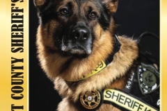 K-9-Sgt-Lanzer-Police-Dog-Small