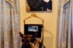 K9-Sgt.-Lanzer-posing-with-President-Trump-007