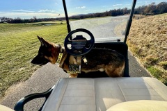 K9-Sgt.-Lanzer-riding-through-Trump-International