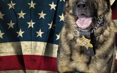 K-9 Sgt. Lanzer mourns his buddy, K-9 Leo