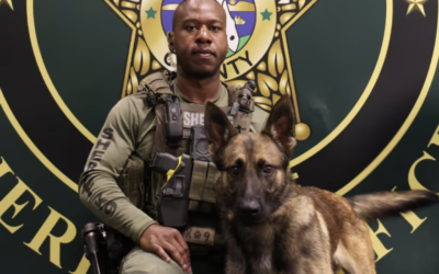 Flagler County Sheriff’s Office Introduces Its Newest K-9 Officer to the Public