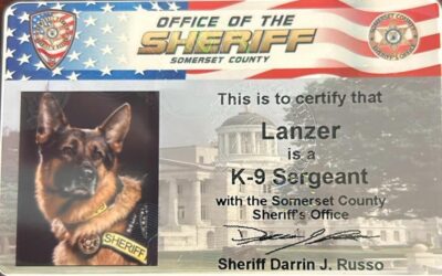 K-9 Lanzer becomes Honorary K-9 Sergeant – Somerset County Sheriff’s Office