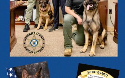 Sheriff Darrin Russo Welcomes K9 Gucci to the Somerset County Sheriff’s Office